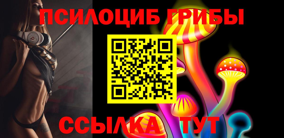 Арсеньев  Псилоцибиновые грибы Psilocybine cubensis  Вход с VPN  Псилоцибиновые грибы Magic Shrooms 