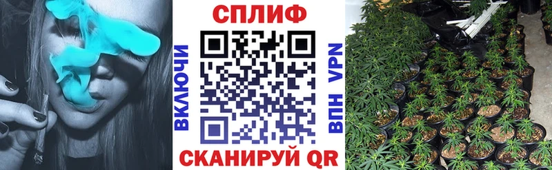 цены   Арсеньев  Бошки Шишки индика 